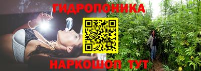 гидропоника Краснокаменск