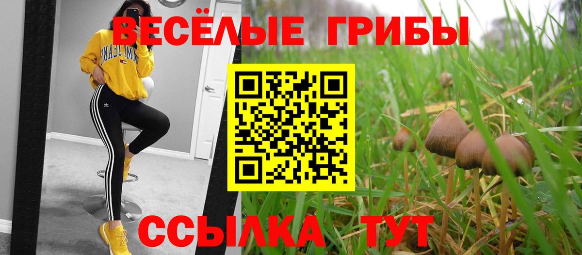 Галлюциногенные грибы Magic Shrooms Касимов